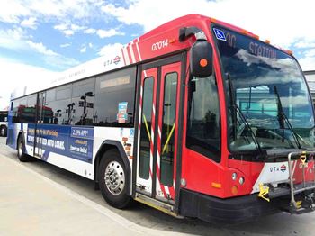 A red and white bus